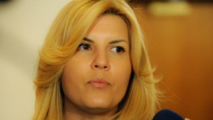 Udrea, copleşită de atribuţii: Am vrut să demisionez!